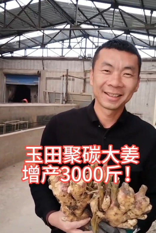 099fc772a825e59e3acd6821026d9509