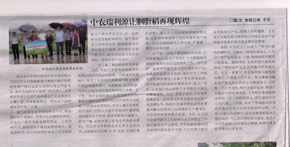 《中农瑞利源让胭脂稻再现辉煌》