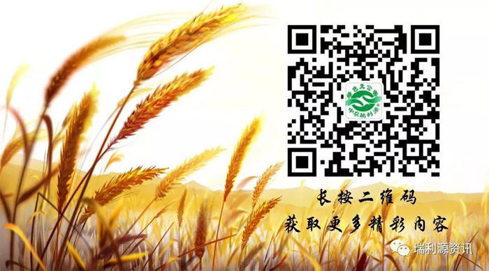 热烈祝贺《瑞利源资讯》微信公众号胜利开通！