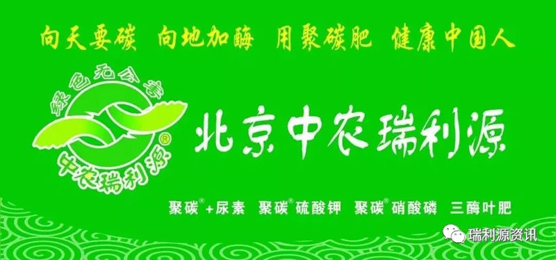 会议通知