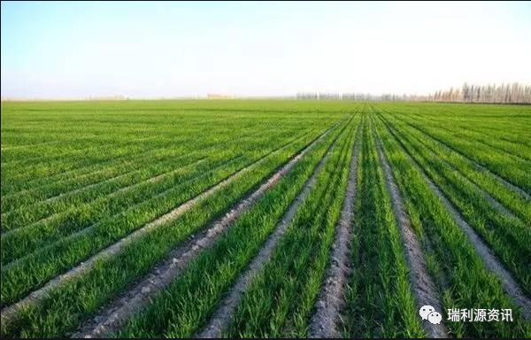 北京中农瑞利源总经理苏银才向经销商和农民朋友拜年！祝大家新春快乐，牛年大吉！