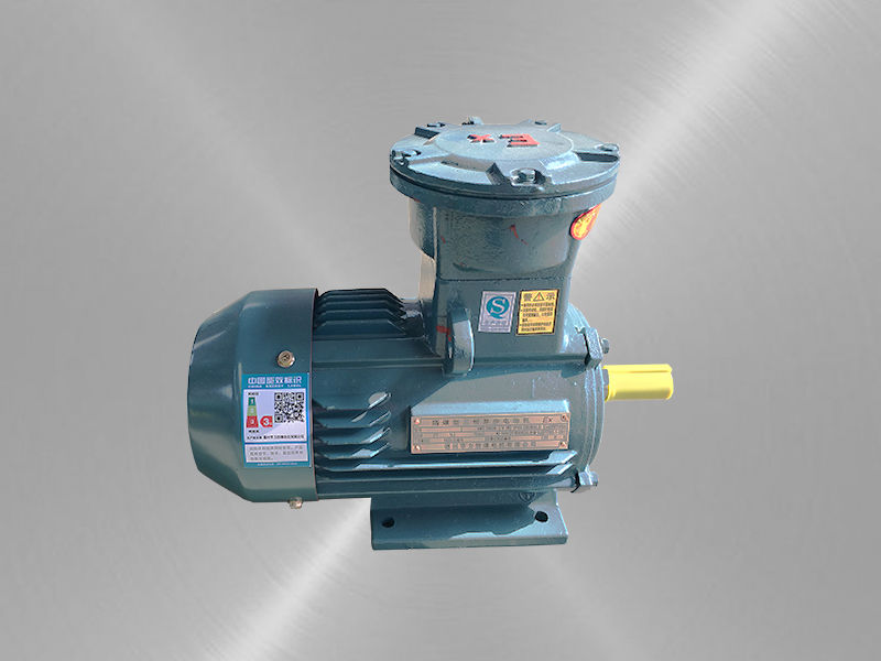 臥式隔爆型三相異步電動(dòng)機(jī) 臥式隔爆型三相異步電動(dòng)機(jī)