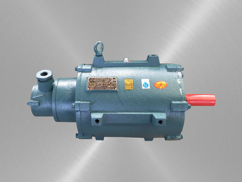 風(fēng)機(jī)用隔爆型三相異步電動(dòng)機(jī) 風(fēng)機(jī)用隔爆型三相異步電動(dòng)機(jī)