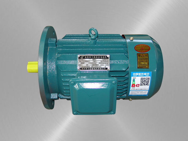 立式高效率三相異步電動(dòng)機(jī) 立式高效率三相異步電動(dòng)機(jī)