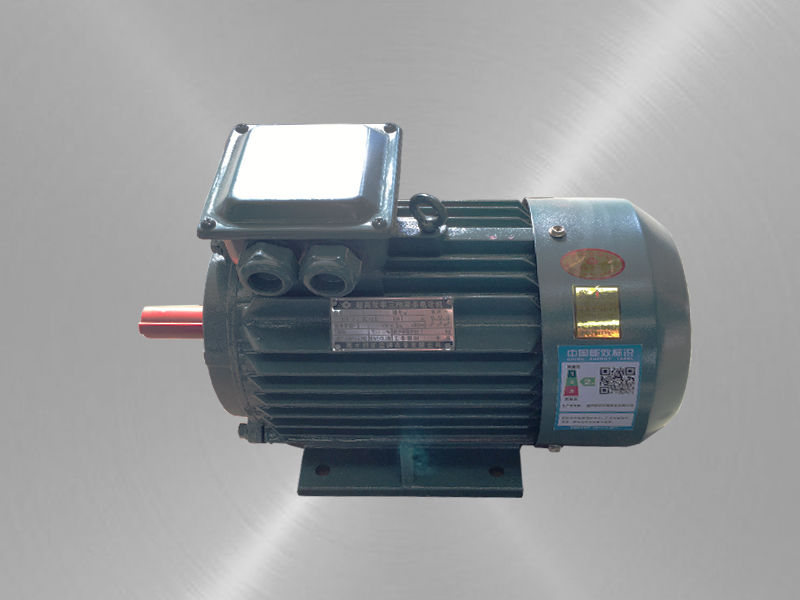 頂置高效率三相異步電動(dòng)機(jī)