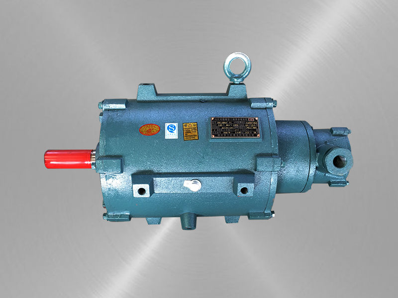 風(fēng)機(jī)用隔爆型三相異步電動(dòng)機(jī) 風(fēng)機(jī)用隔爆型三相異步電動(dòng)機(jī)