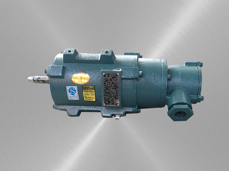 風(fēng)機(jī)用隔爆型三相異步電動(dòng)機(jī) 風(fēng)機(jī)用隔爆型三相異步電動(dòng)機(jī)