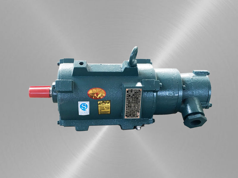 風(fēng)機(jī)用隔爆型三相異步電動(dòng)機(jī) 風(fēng)機(jī)用隔爆型三相異步電動(dòng)機(jī)