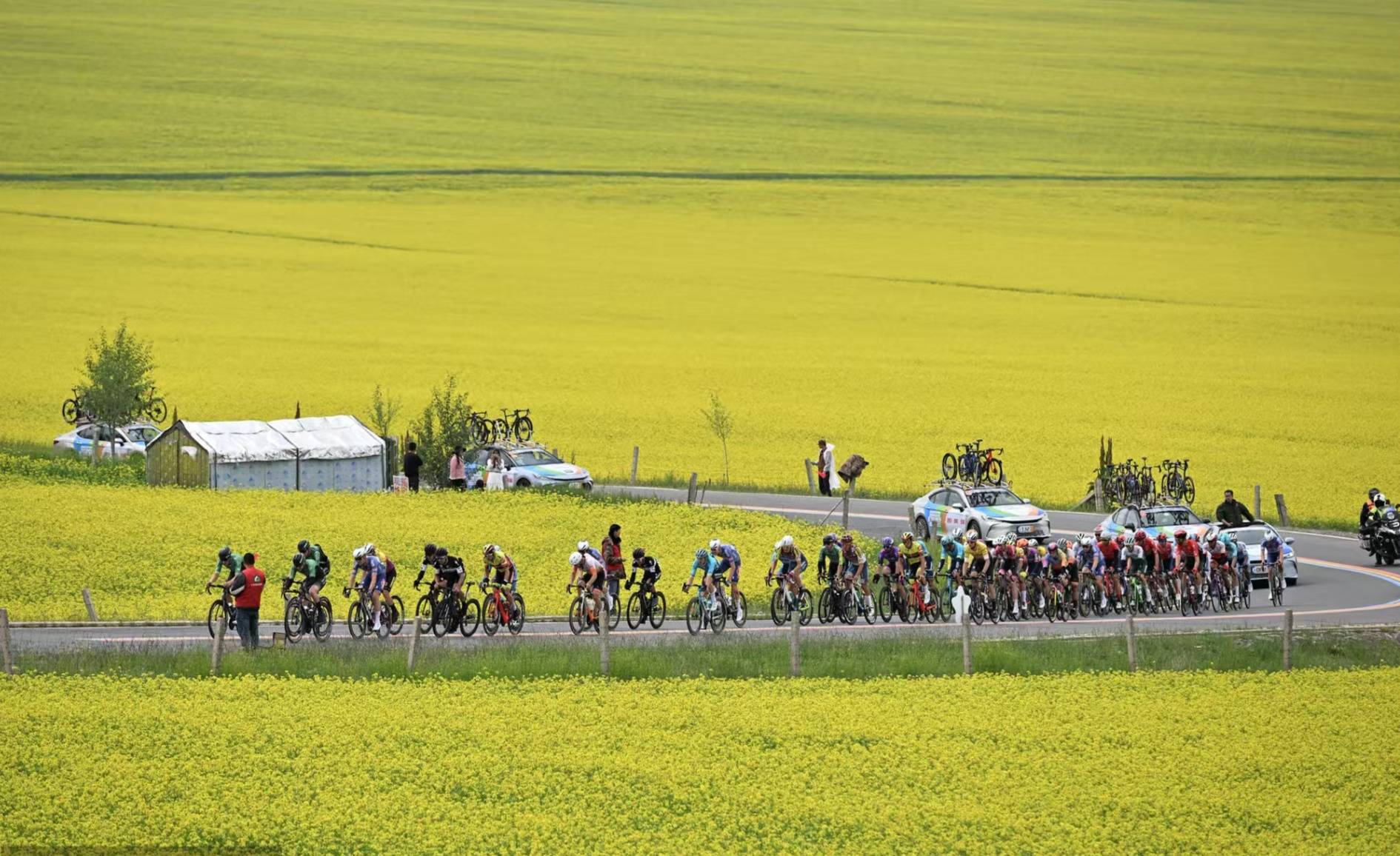 自行车运动营销