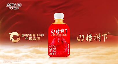 山楂树下强势登陆 CCTV-4 中文国际频道与 CCTV-13 新闻频道