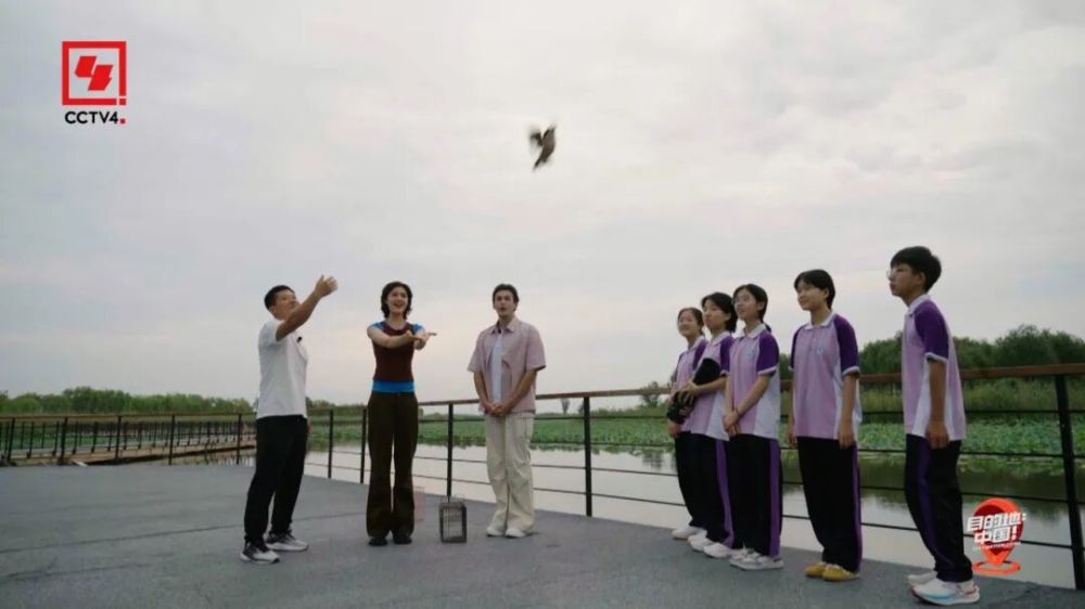 有朋自远方来，《目的地：中国！》开启活力免签之旅！