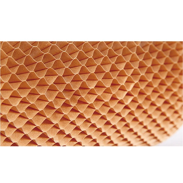 3D蜂格纸套