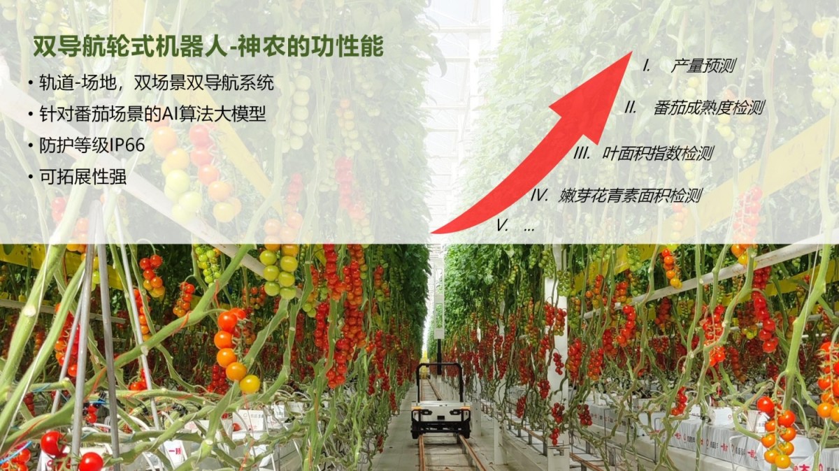 双导航轮式机器人 (1)