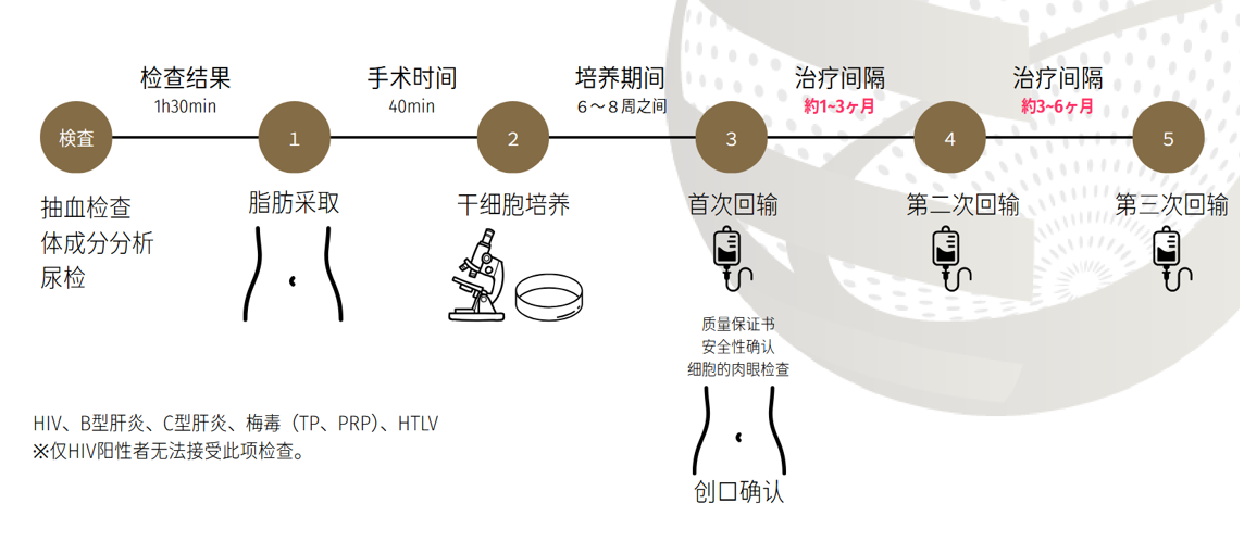 从检查到回输流程
