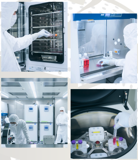 东京瑞莱内部设施