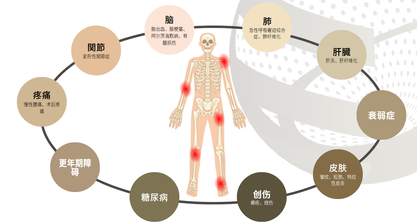 干细胞可治疗项目