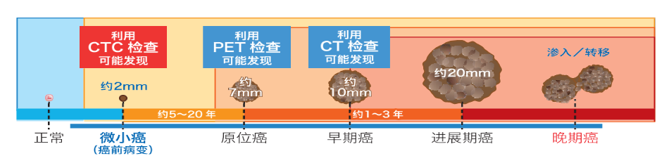 CTC(循环肿瘤细胞)检测