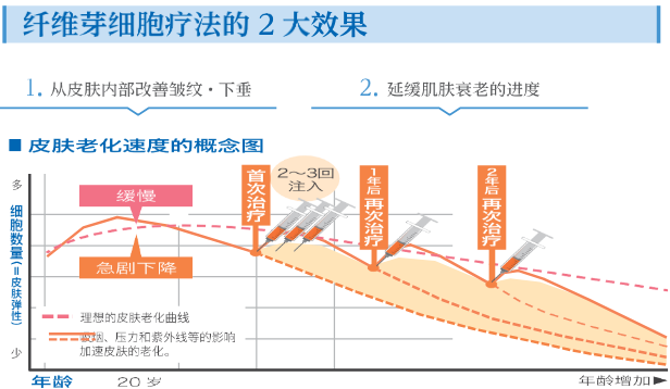 真皮纤维芽细胞疗法_1