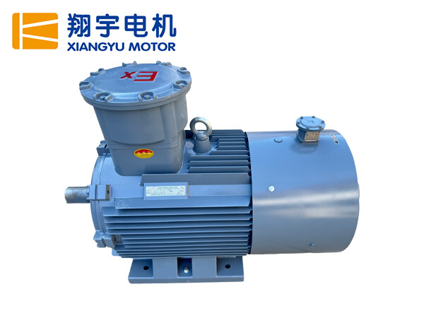 YBBP系列隔爆型變頻調(diào)速三相異步電動機(jī)