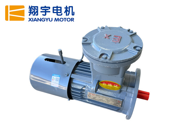 YBEJ系列隔爆型電磁制動三相異步電動機(jī)