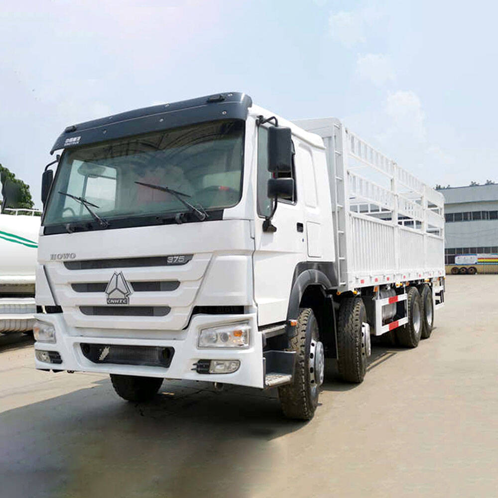 SINOTRUK HOWO 375hp 8x4 Cargo Transport Truck