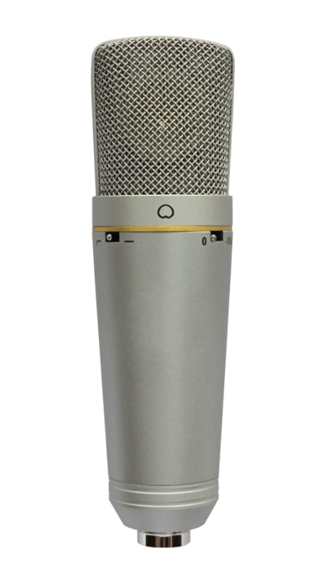 电容式专业合唱麦克风U300R