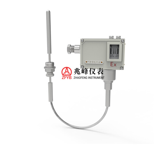 WTYK(B)型（防爆）温度控制器