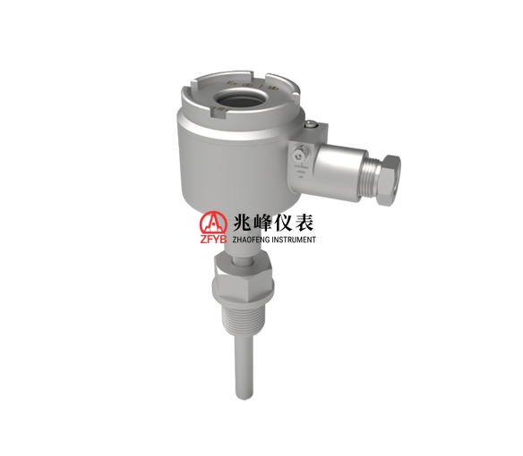 BWD200-RS型矿用隔爆型温度变送器