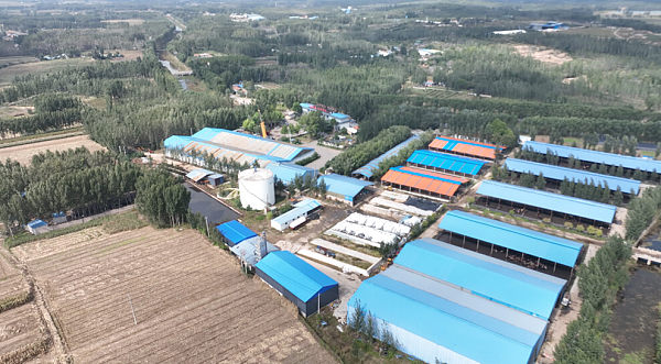 公司基地