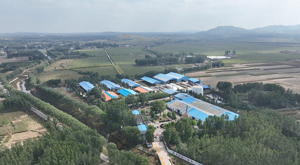 公司基地