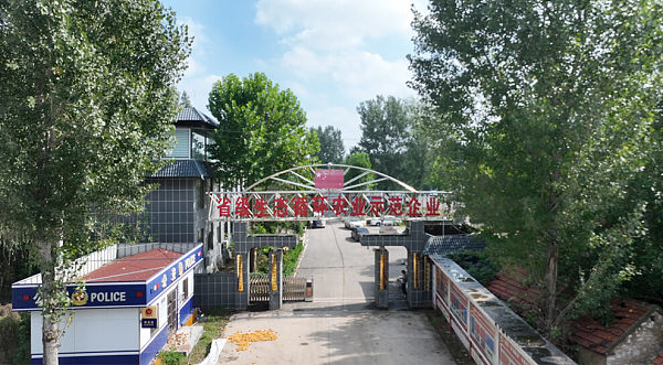 公司实景