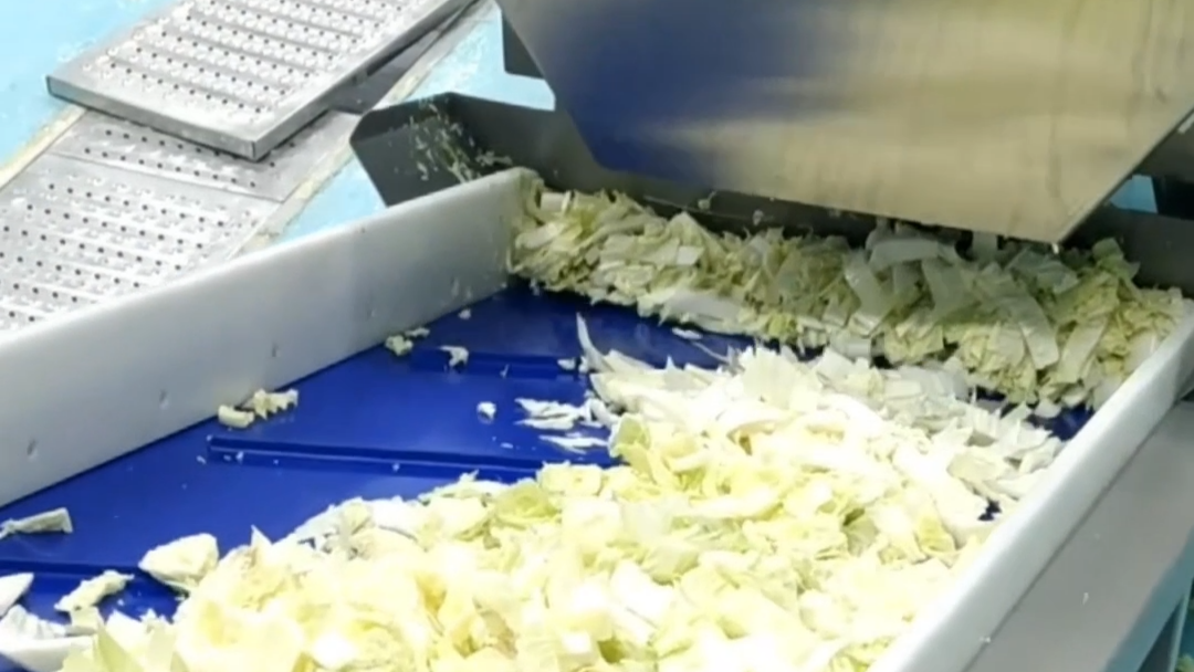 微信图片_20260127130542_2207_387(1)