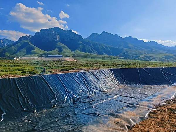 cbb0848221f4ba67e2625914c57ce875