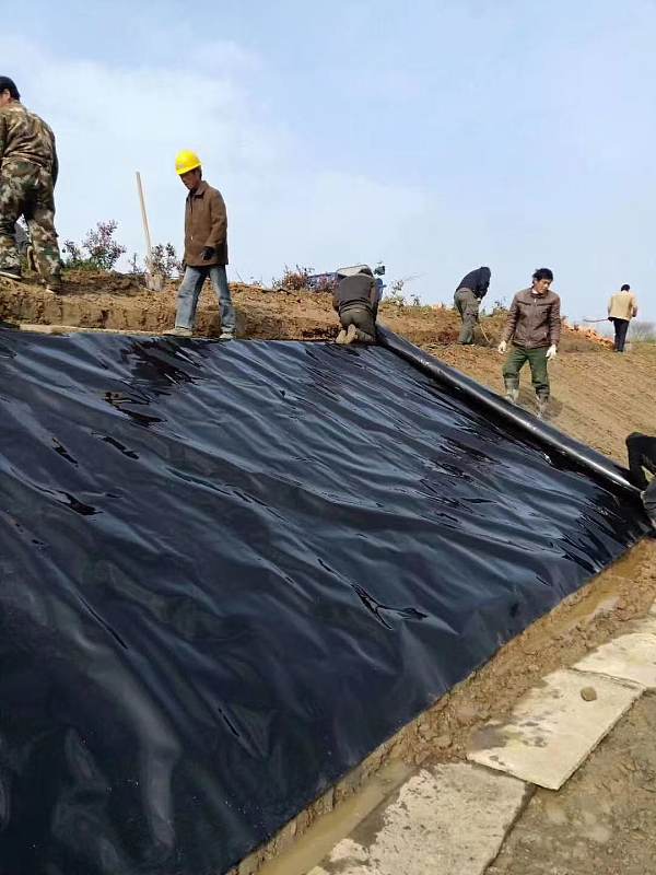 983a0e7a26d85828ceb7984b87ca9a03