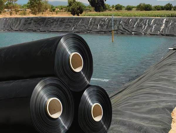 ddd8af602116528d223cd5f93162d6be