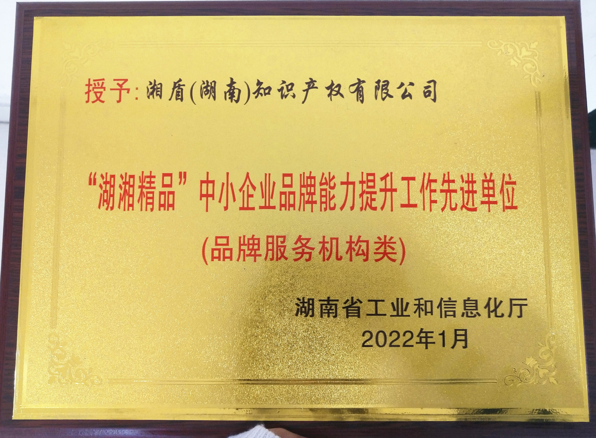 湖南省工信厅品牌提升先进单位.jpg