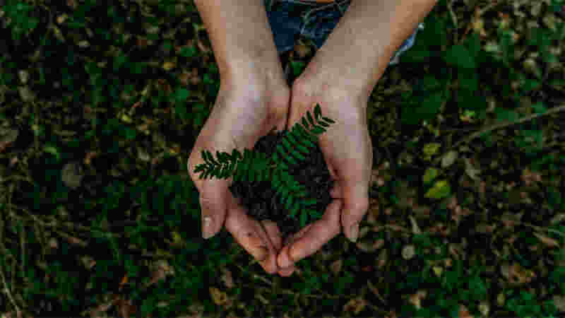 Sustainability has always been a focus for us