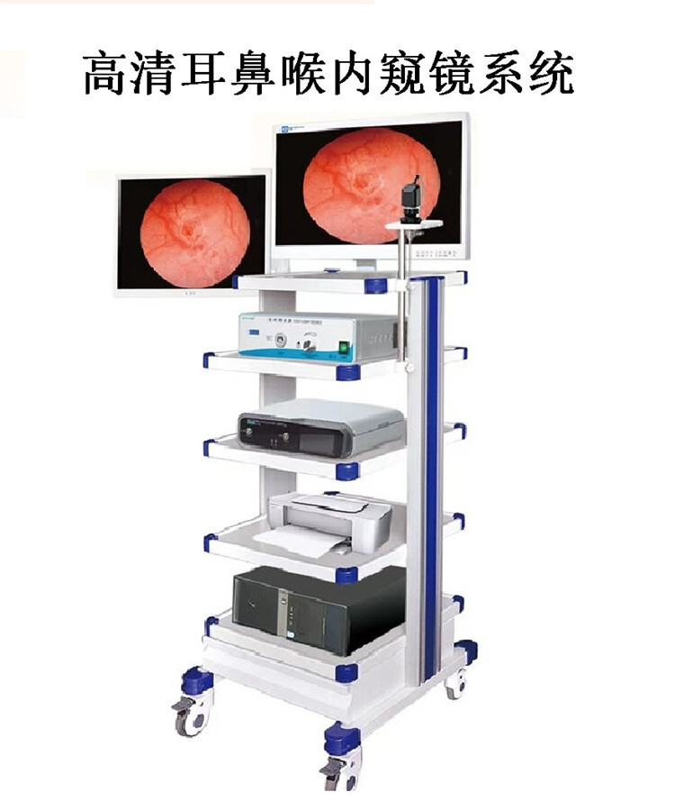 微信图片_20230306150026 - 副本 微信图片_20230306150026 - 副本