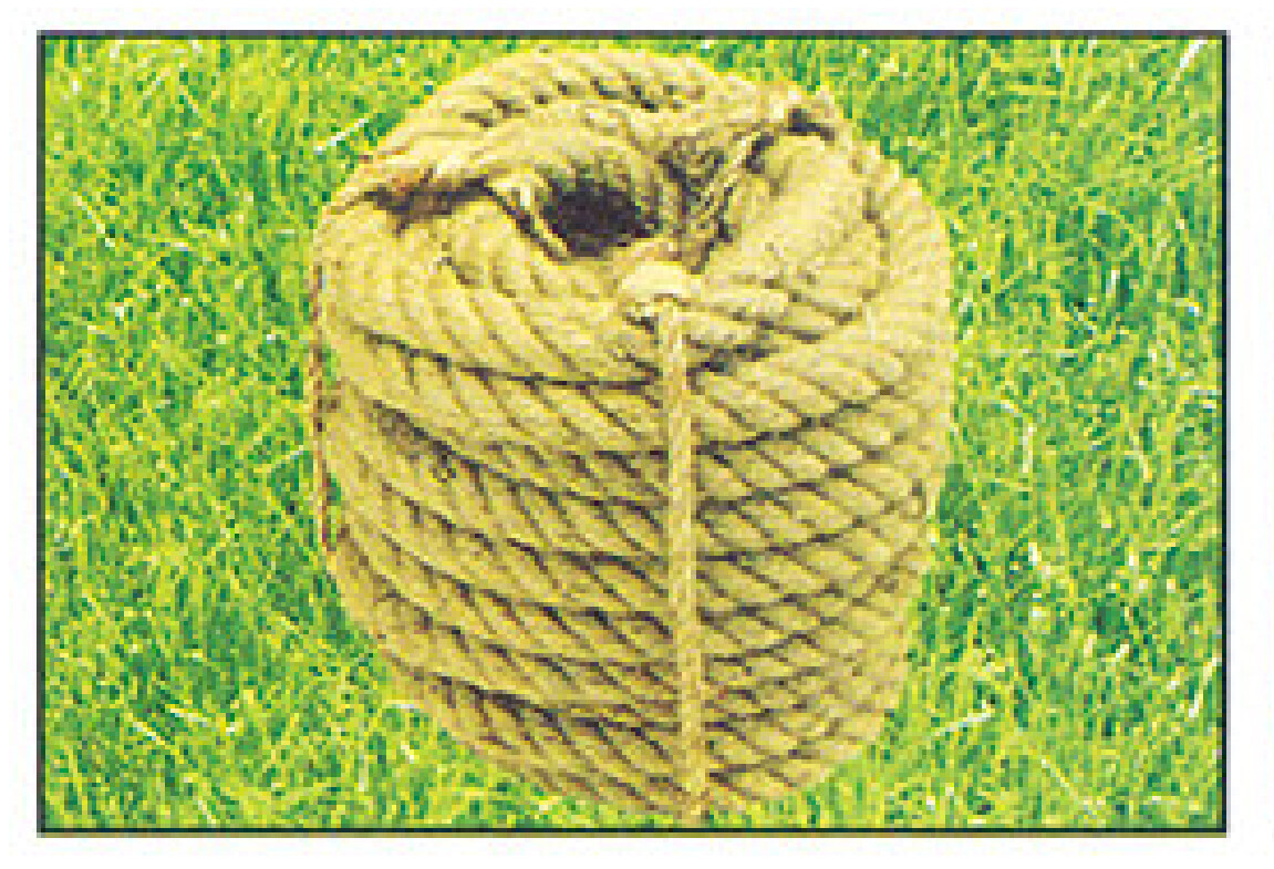 JL-G-046 拔河绳(树棕)