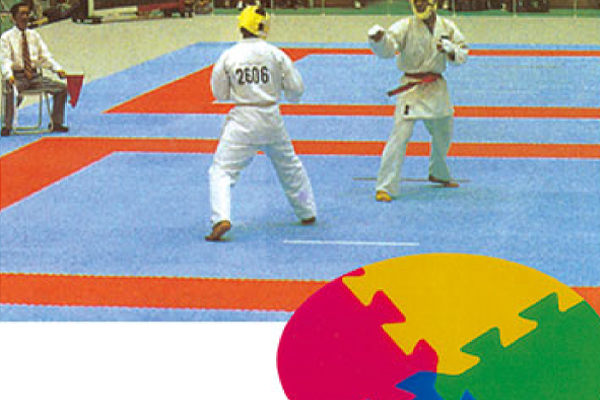 JL-E-048 跆拳道垫