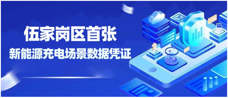 伍家城投斩获伍家岗区首张新能源充电场景数据凭证！数据变“资产”！