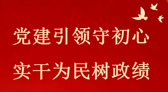 党建引领守初心  实干为民树政绩