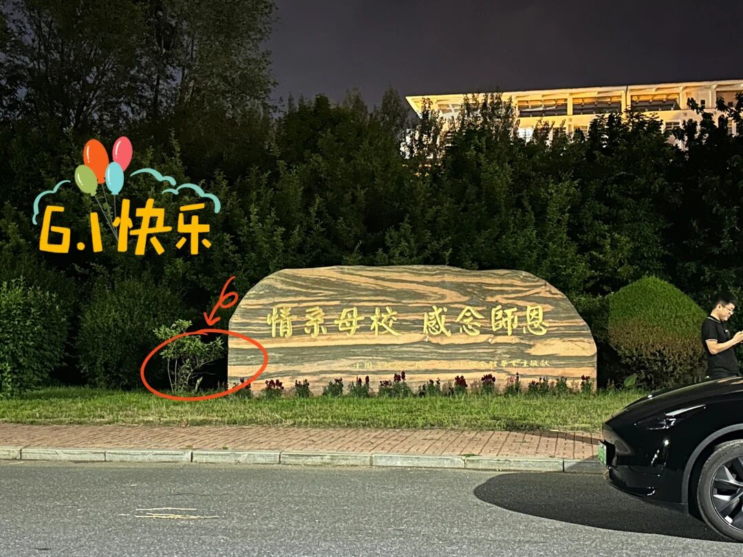 鼎峰专升本六一儿童节福利大放送丨校园投放盲盒