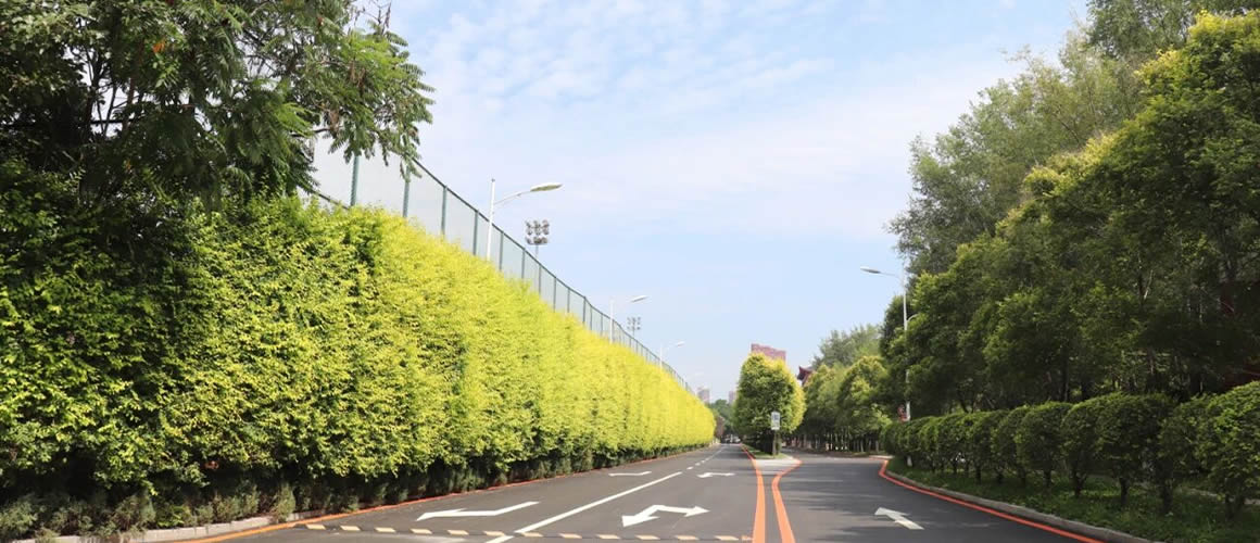 微信图片_20251112132931_192_3