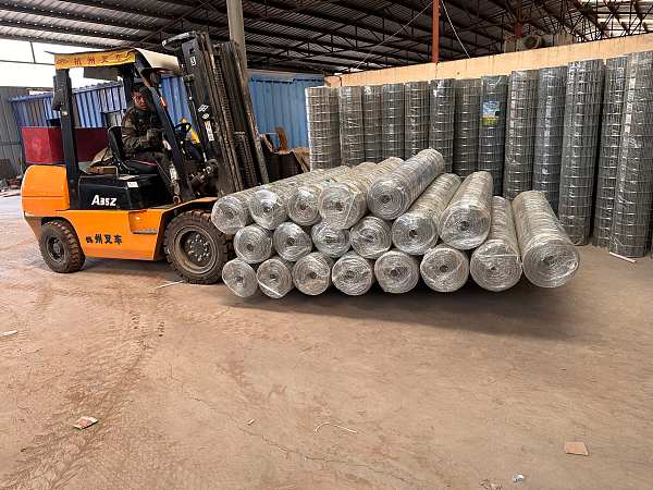 b786e2a1-fe07-4568-8e1d-ff6048ce20c0