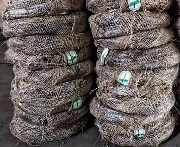 a4121a20-9a78-4867-89f2-39e841592785.jpg_366xaf