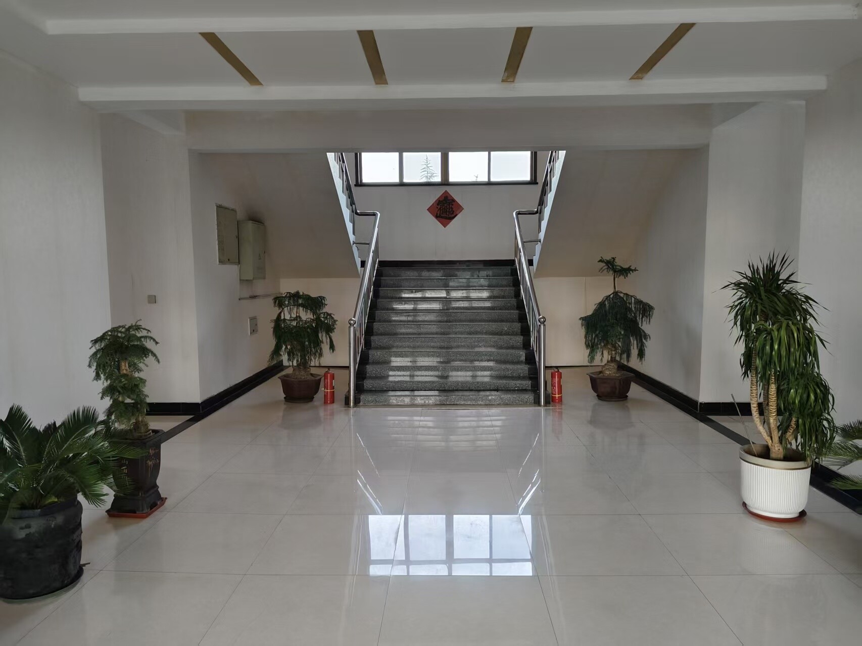 14311cb04ffd797cbfdf02c927e96dc2_origin(1)