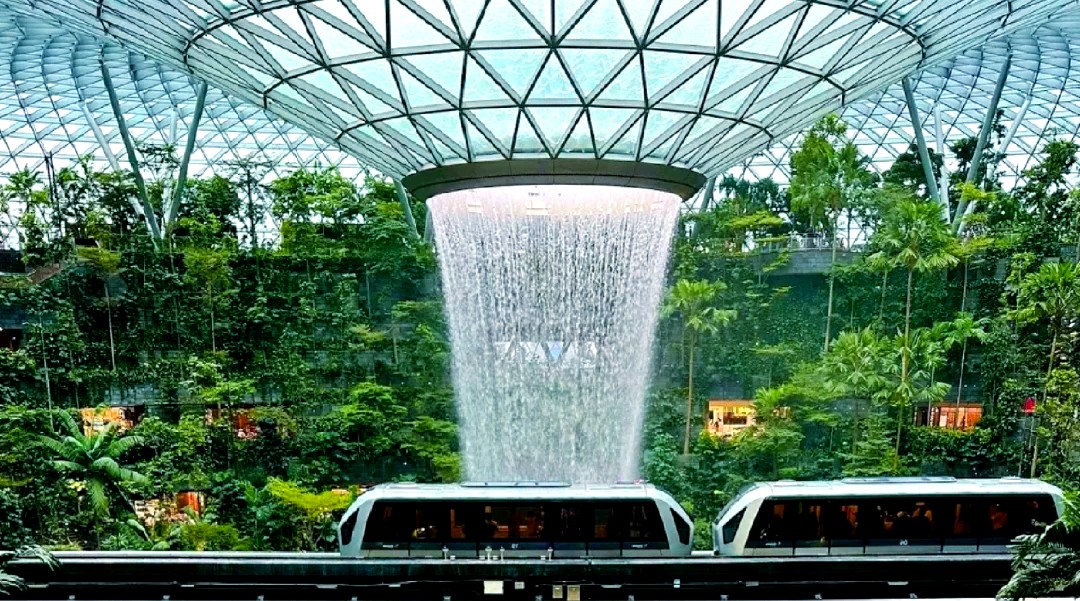 1767493434866264010505674752.png 图片