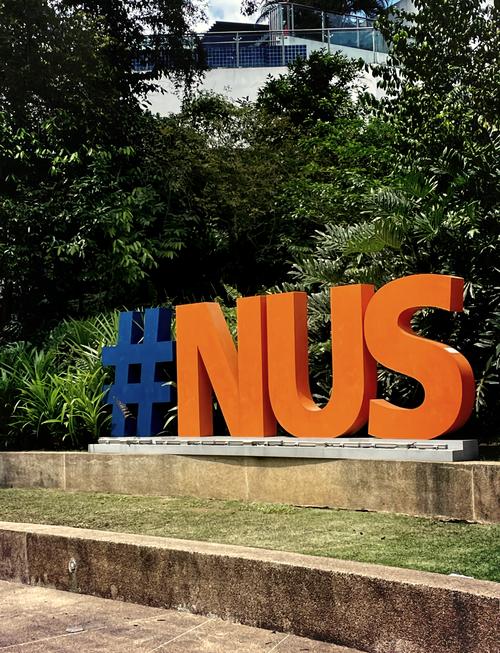 收藏!深度解析新加坡国立大学招生数据 收藏!深度解析新加坡国立大学招生数据