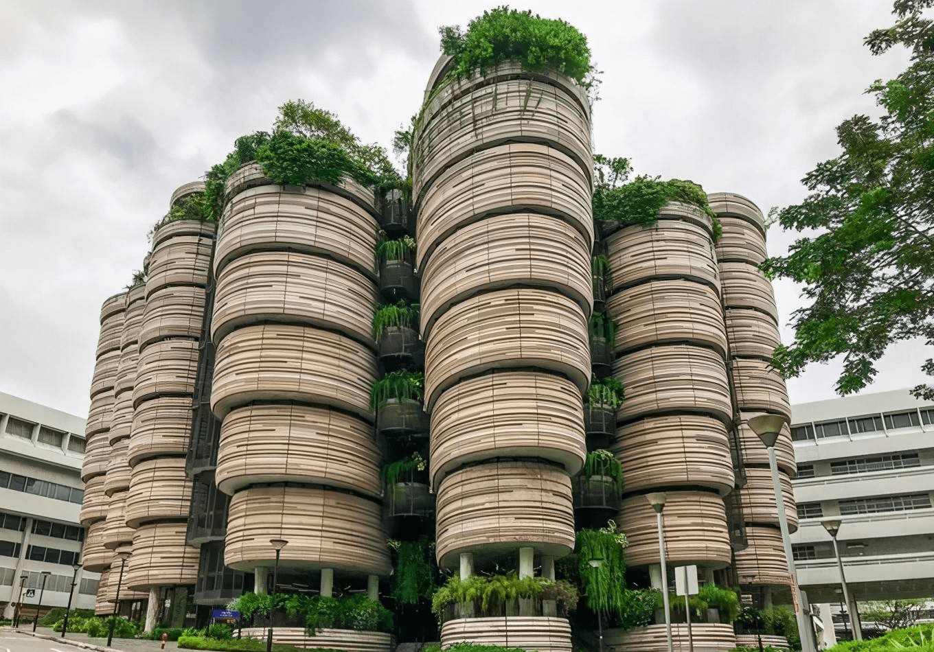 双非大“捡漏”！南洋理工今年把Offer给了这些专业